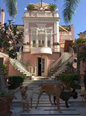 A stunning, pet-friendly B&B in Catania, Sicily.